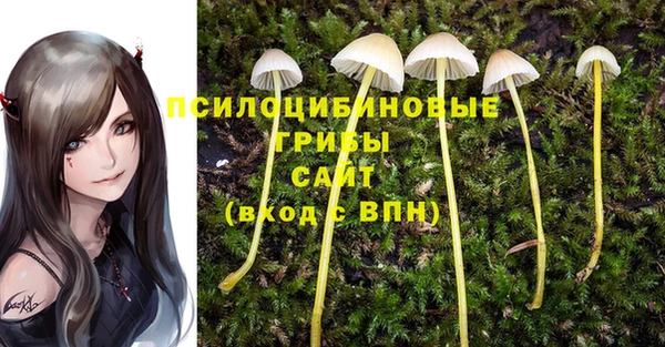 mix Алексеевка