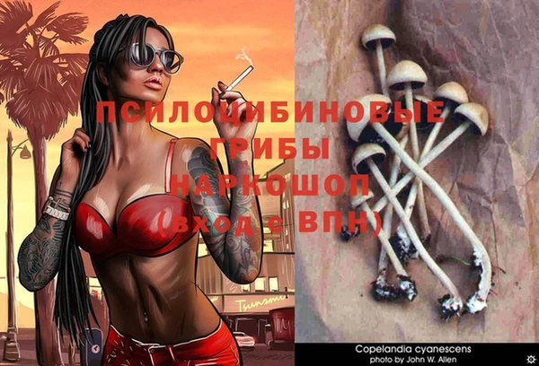 дмт Алзамай