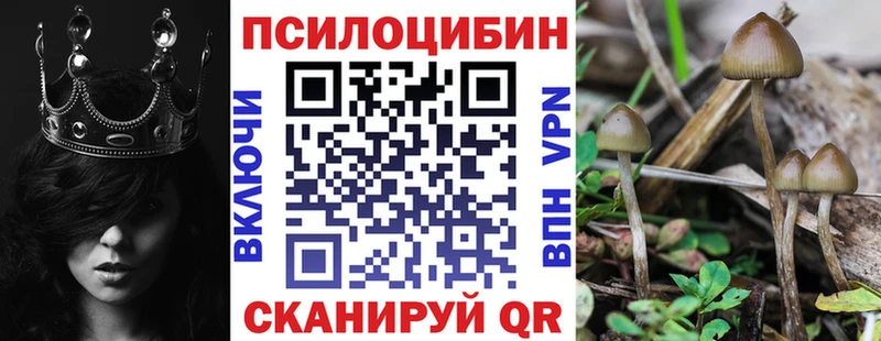 Галлюциногенные грибы мицелий  где найти   гидра онион  Уссурийск 