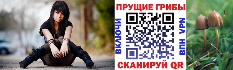Псилоцибиновые грибы ЛСД Уссурийск